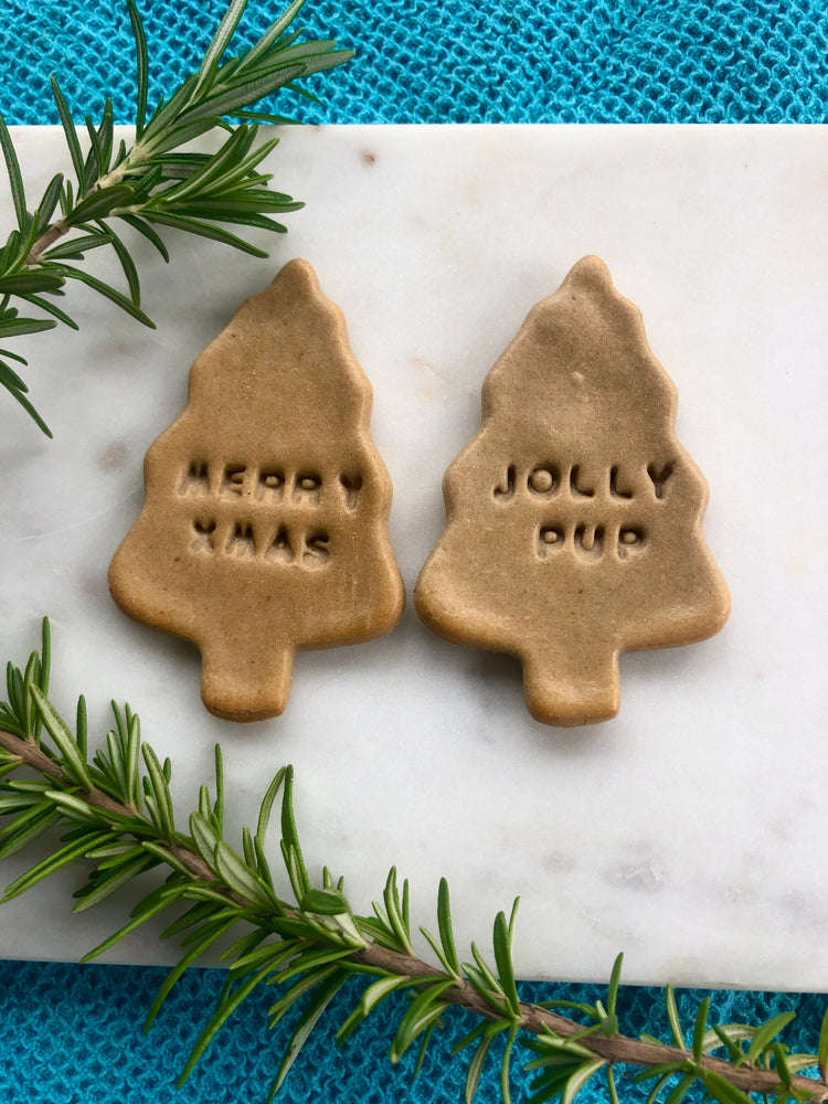 Large Christmas biscuit